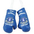 Boxerske rukavice FC Everton - 1A67