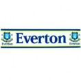 Nálepka na okno FC Everton - 1A111